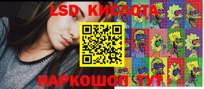 mdpv Ярославль