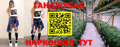 mdpv Ярославль