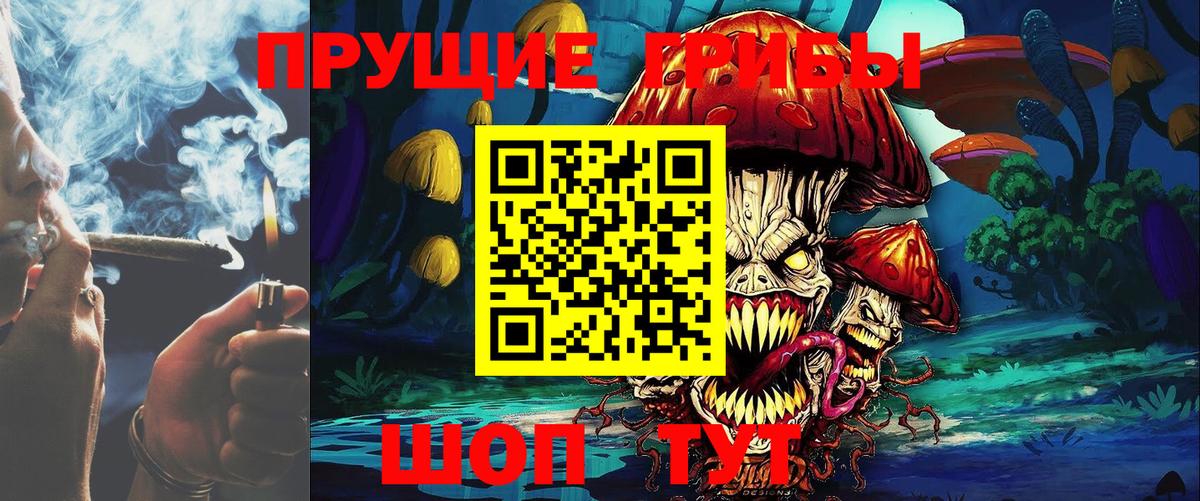 Алушта  Галлюциногенные грибы Cubensis  Вход с VPN 