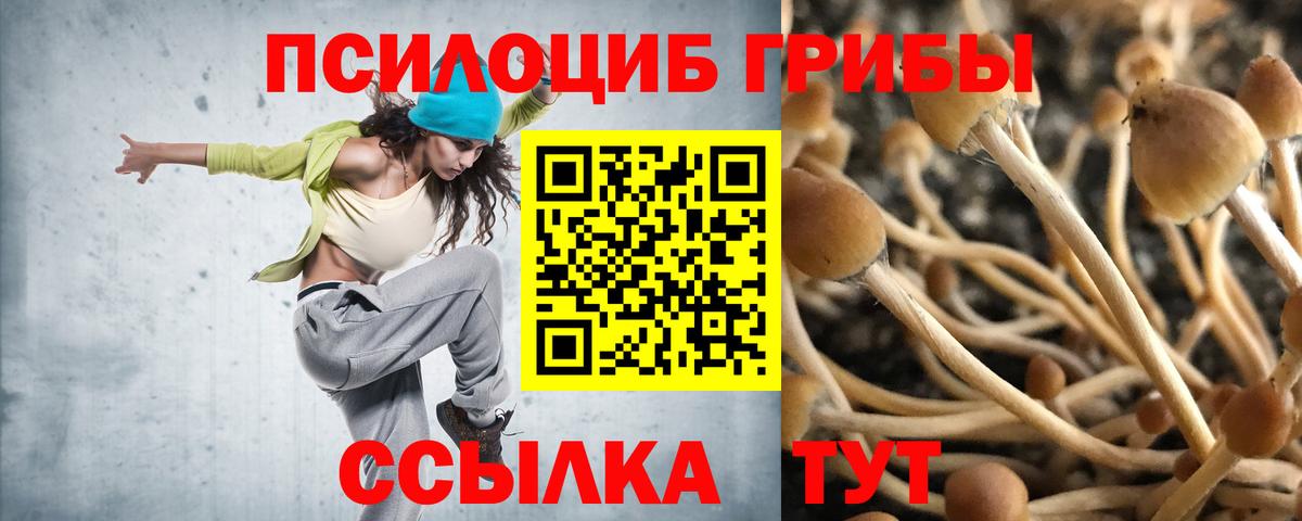 Галлюциногенные грибы прущие грибы Алушта